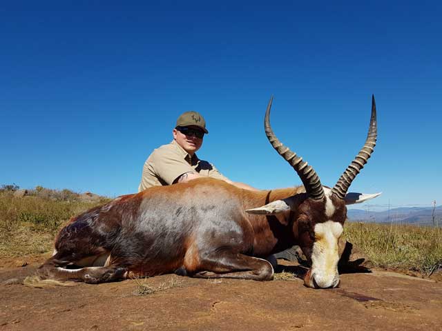 Blessbuck